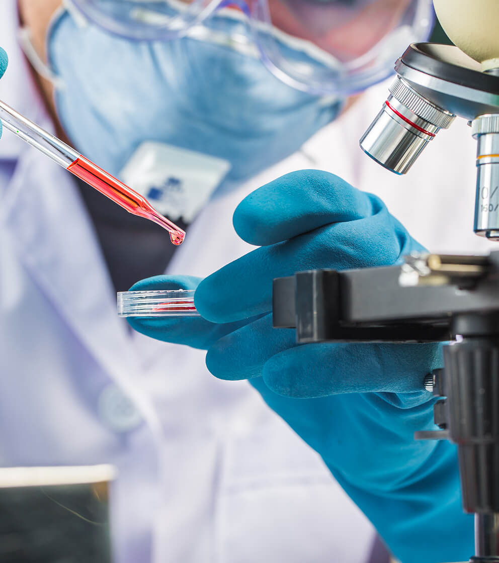 Research & Development cooperation –  Services